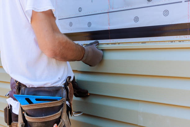 Affordable Vinyl Siding solutions in Long Beach, IN